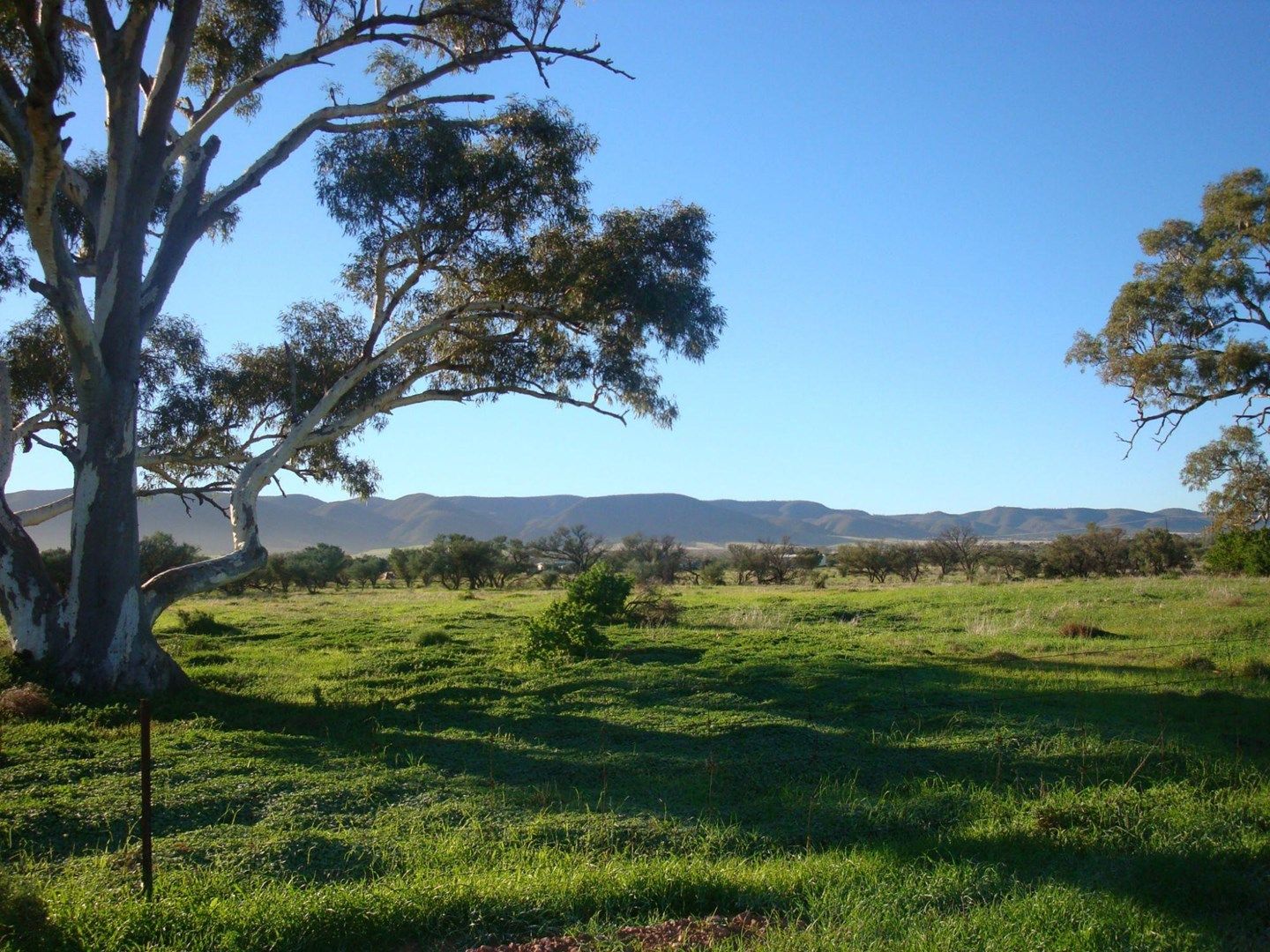 Lot 180 Off Gulf View Drive, Napperby SA 5540, Image 0