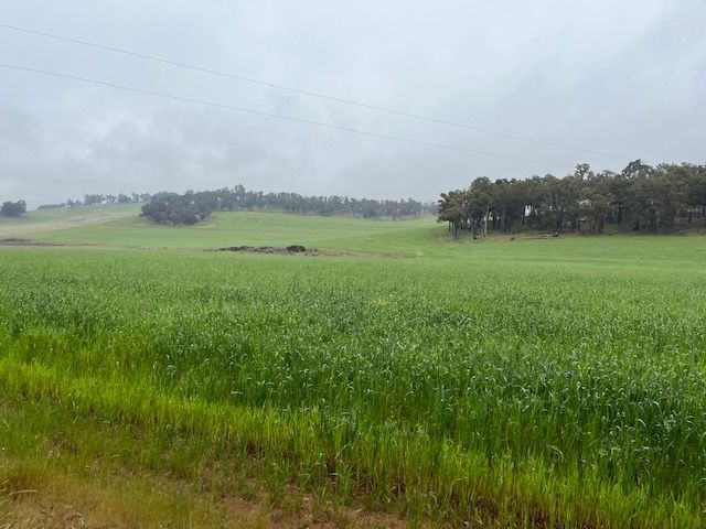 Bullet Holdings, Lower Hotham Road, Lower Hotham WA 6390, Image 2