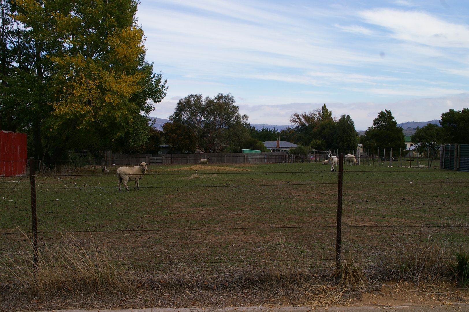 4 Gray Street, Avoca TAS 7213, Image 1