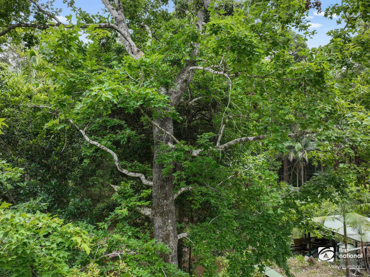 Image 13