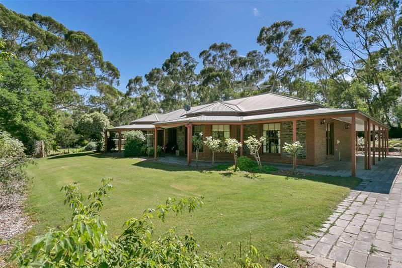 270 Thomas Hill Rd (Adjacent McLaren Vale), The Range SA 5172, Image 0