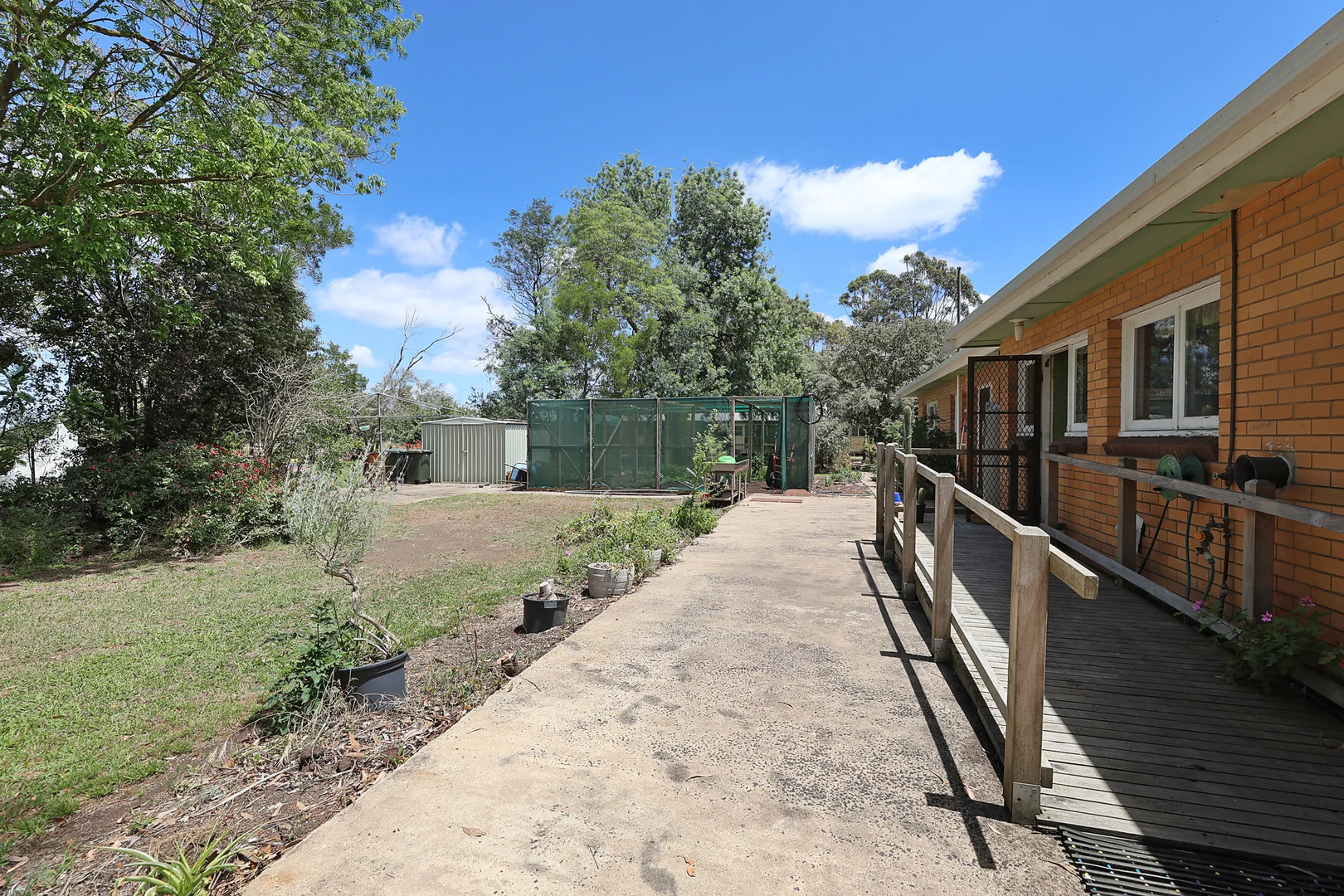 Image 15