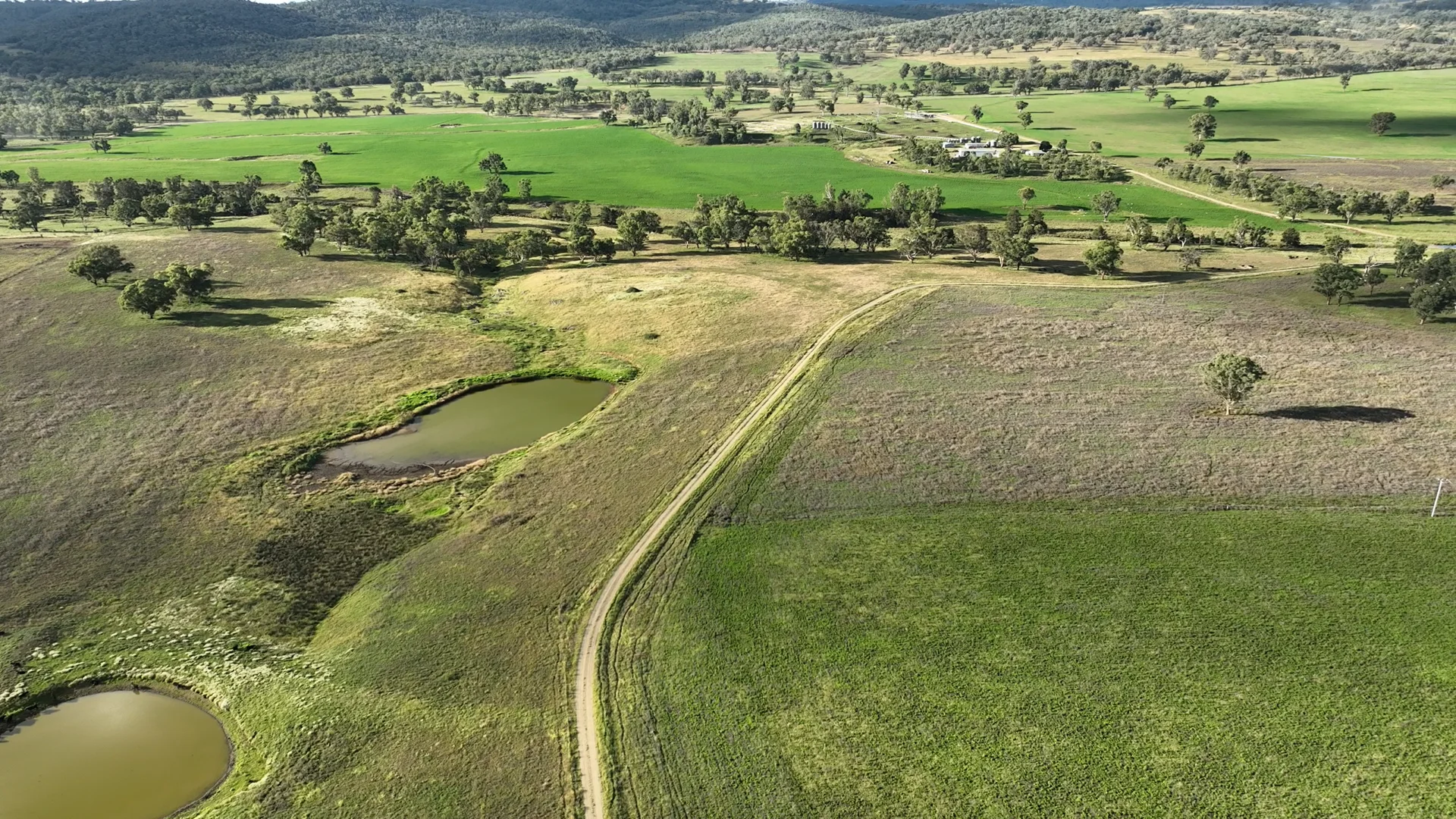 Additional image 8 of "Rivendell" 698 Woodstock Road, Inverell NSW 2360