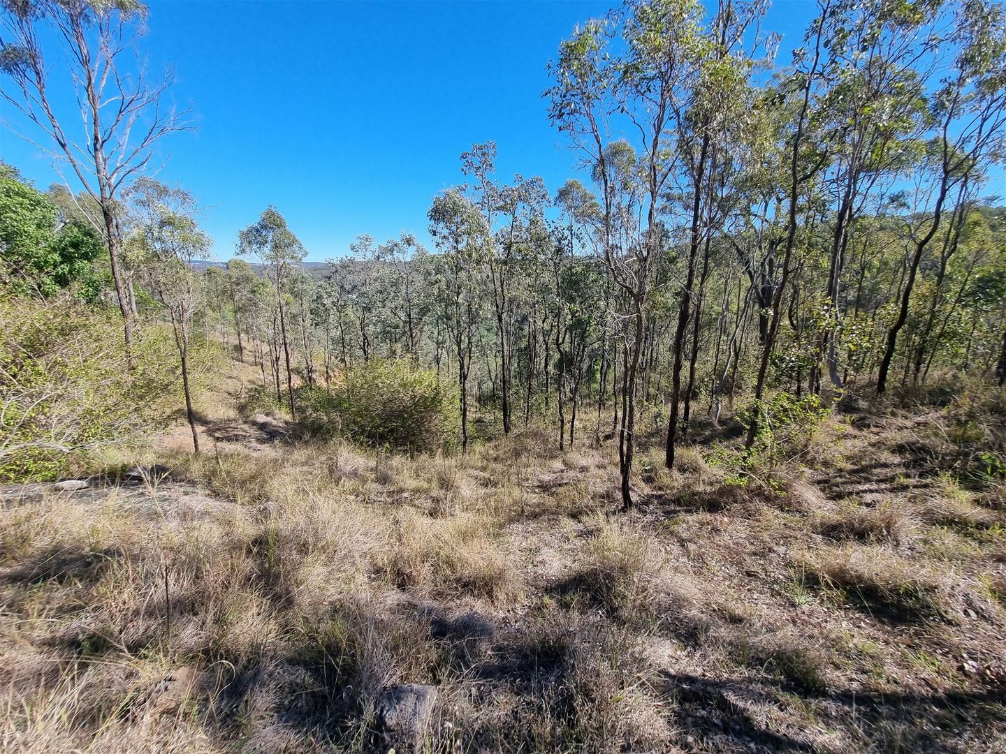 Lot 19 Stretton Drive, Blackbutt QLD 4314, Image 1