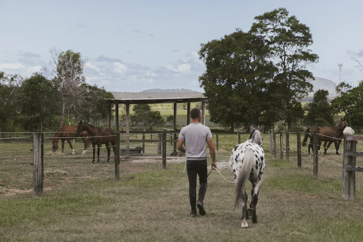 Additional image 3 of 291 Valdora Road, Valdora QLD 4561