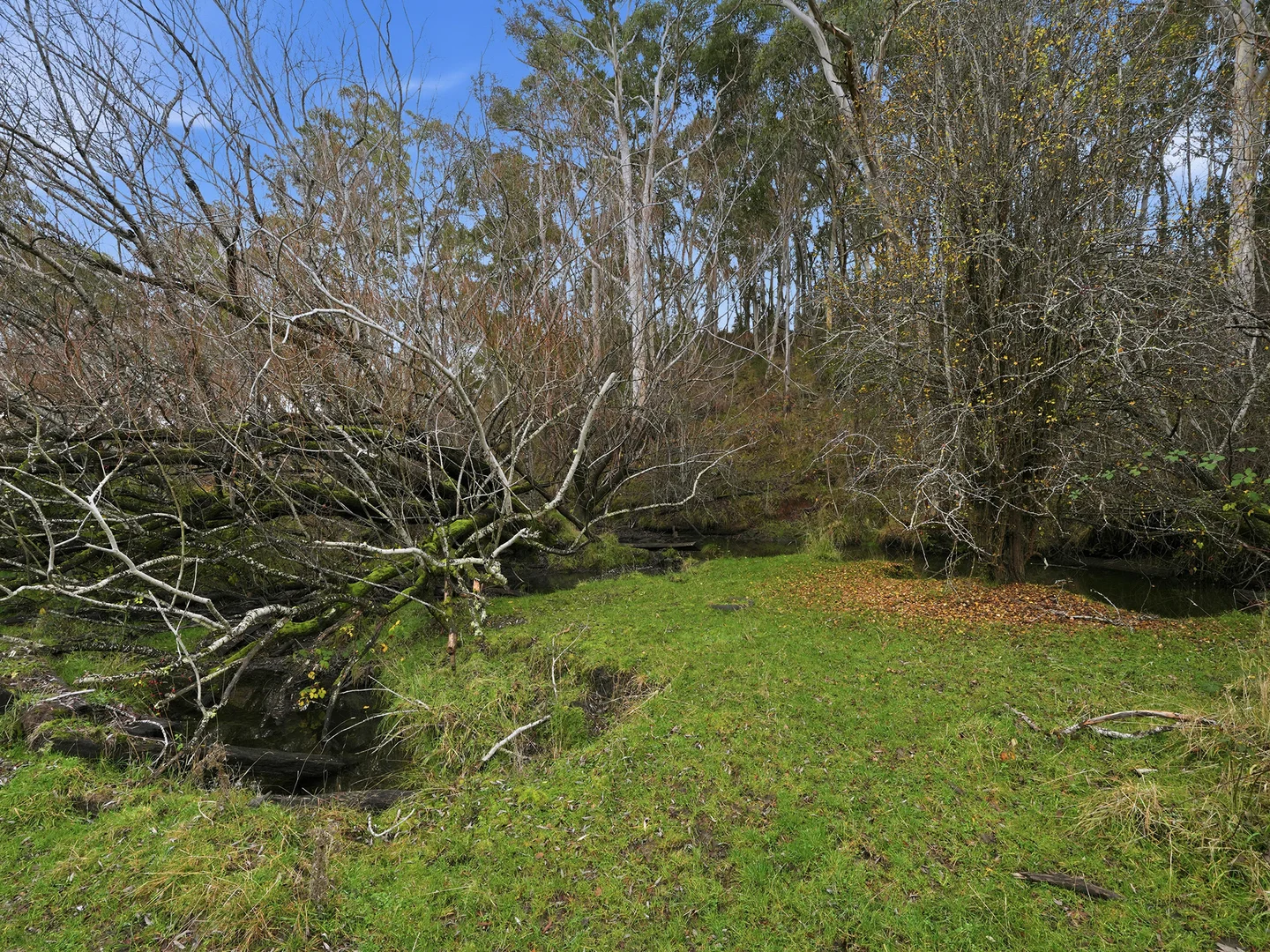 Image 21