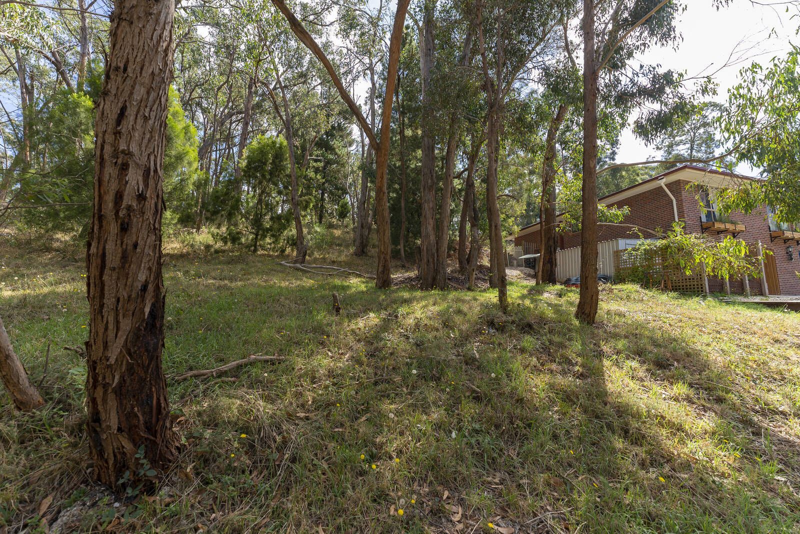 18 Darriwell Drive, Mount Helen VIC 3350, Image 2