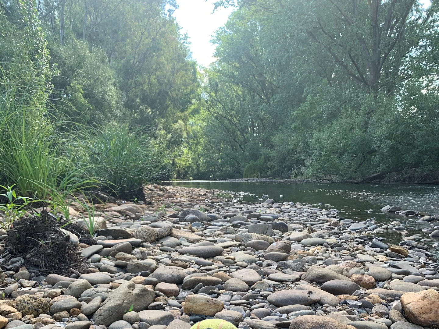 Additional image 2 of 5627 Great Alpine Road, Eurobin VIC 3739