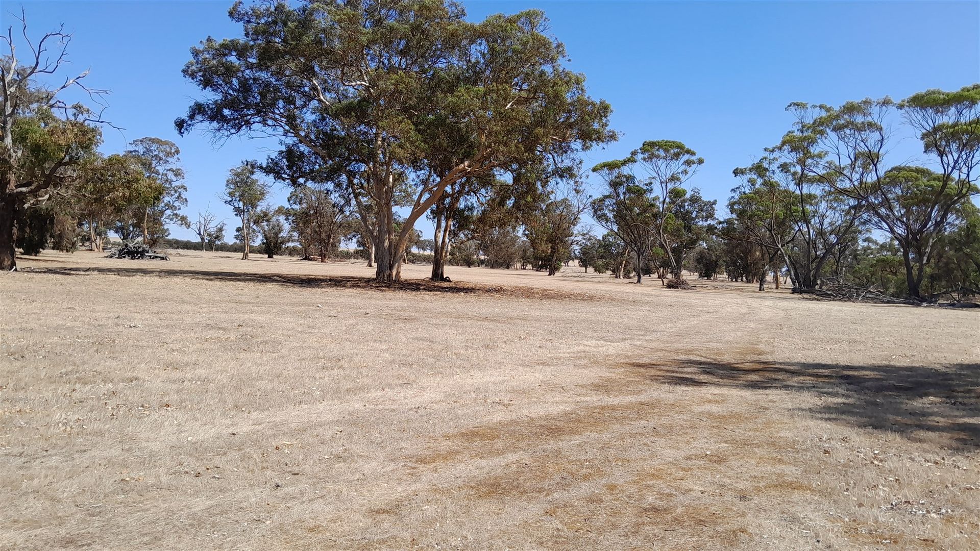 Lot 715/715 Mattiske Road, Katanning WA 6317 Mixed Farming Property