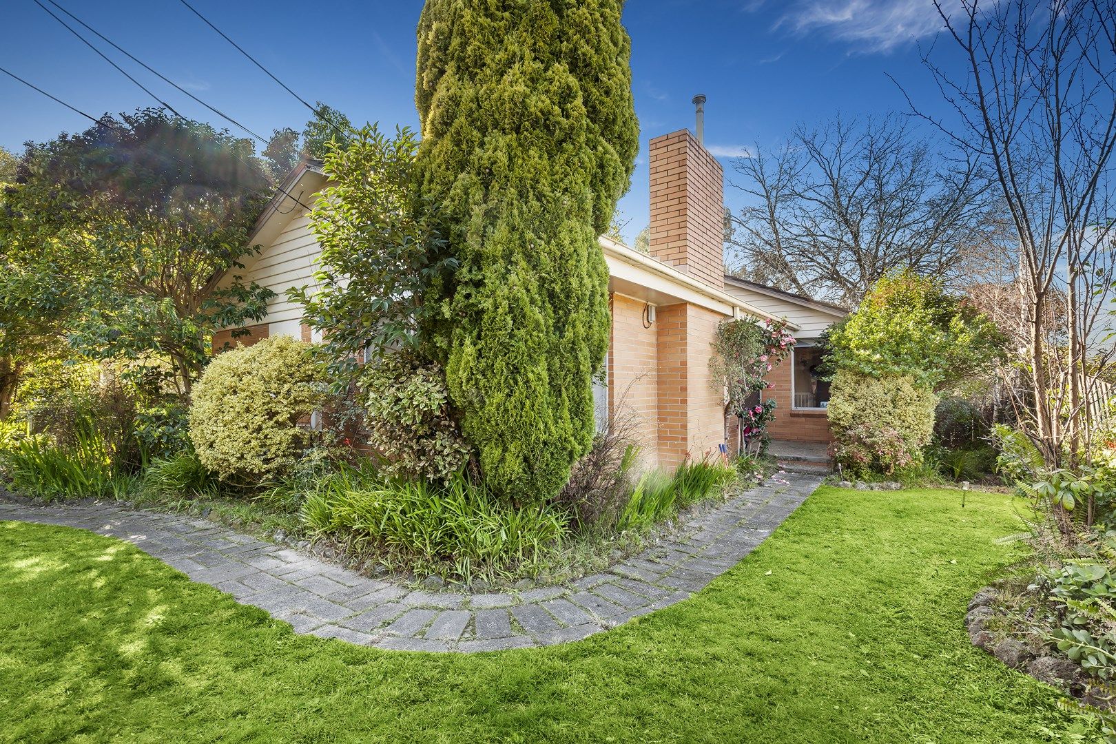 6 Morton Road, Burwood VIC 3125, Image 0