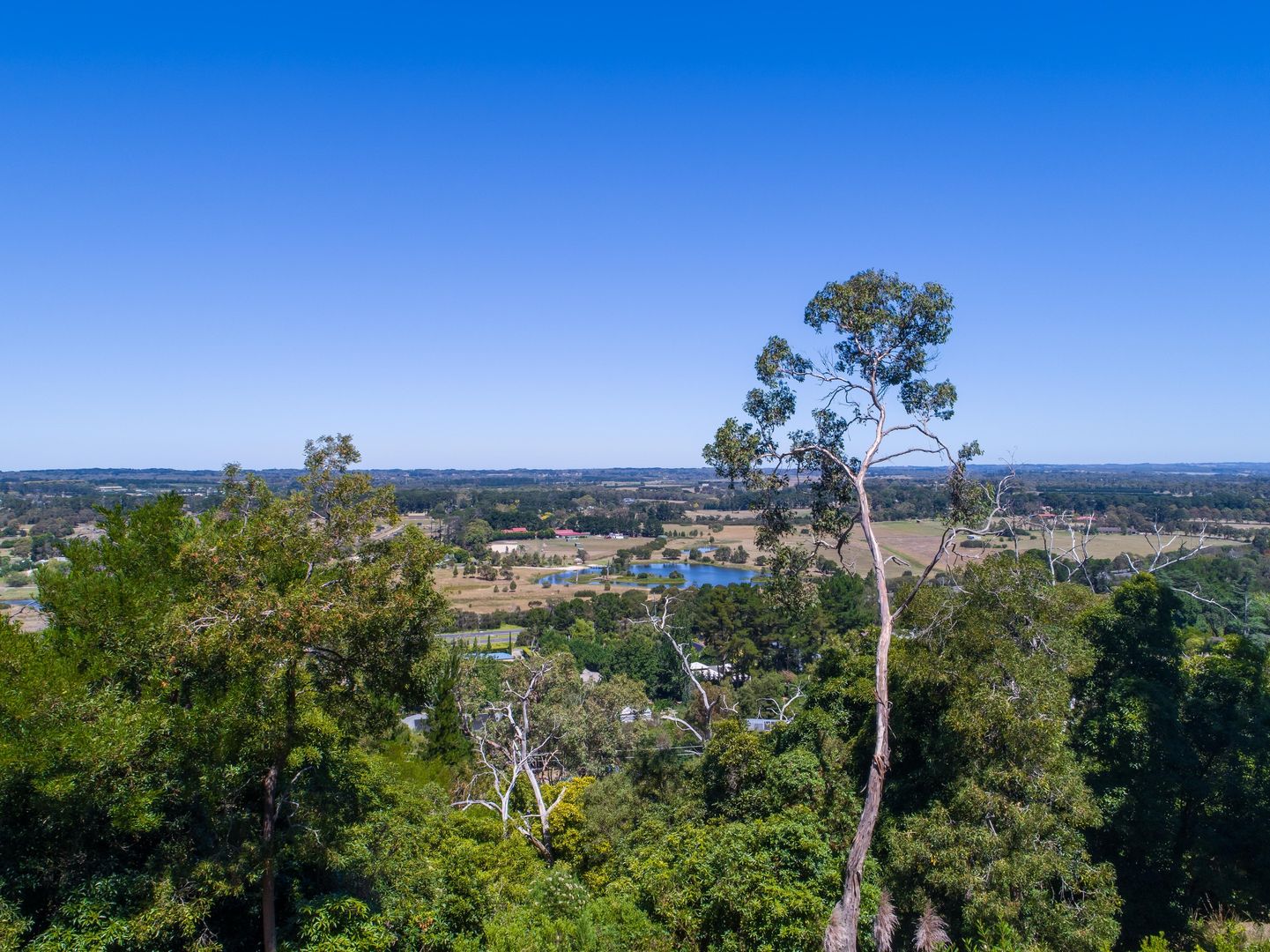 74 Two Bays Road, Mount Eliza VIC 3930, Image 2