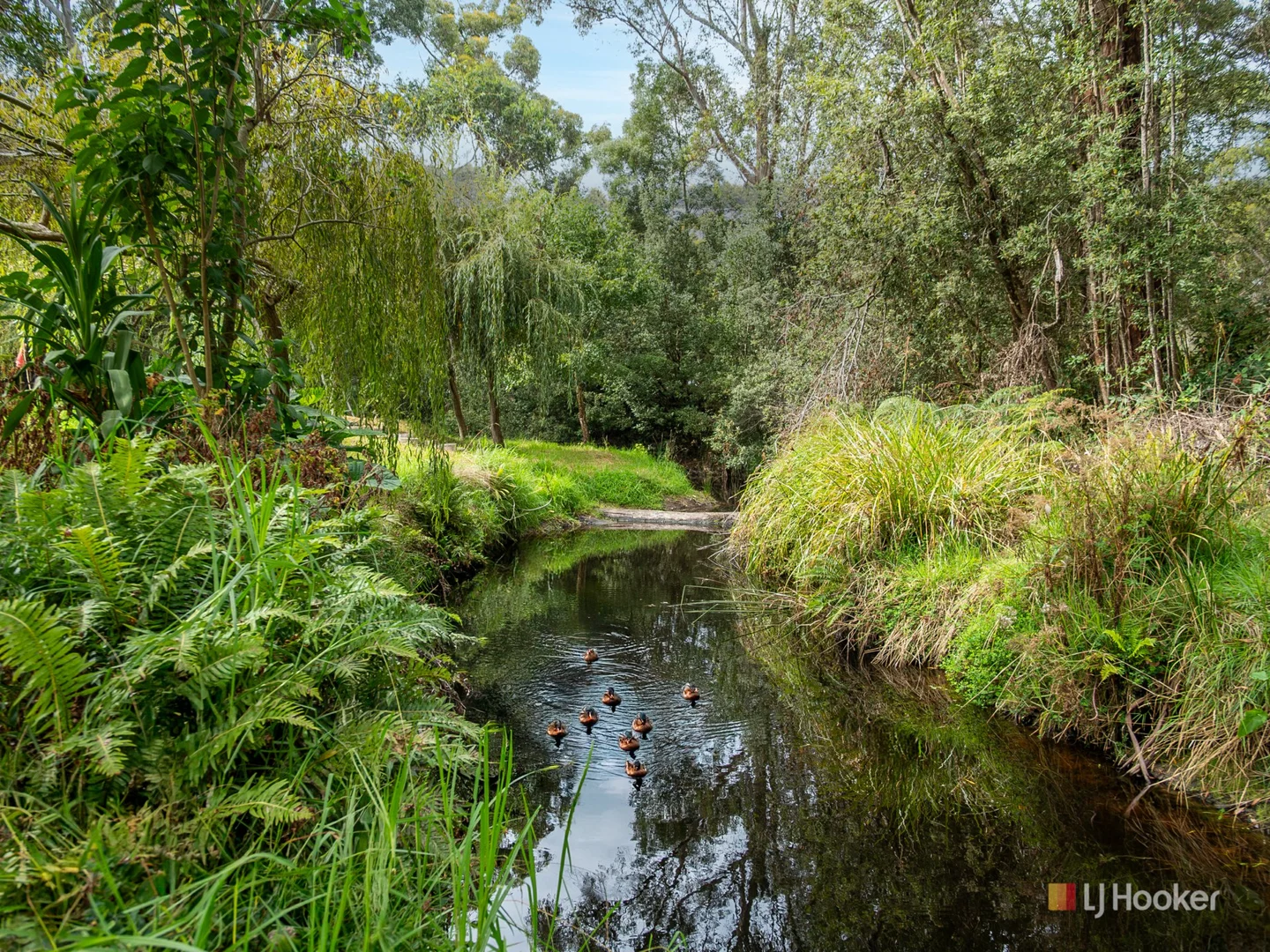 Additional image 17 of 19491 Bass Highway, Detention TAS 7321
