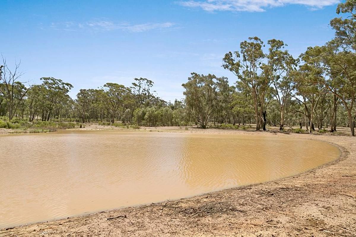 LOT 1 Axedale-Goornong Road, Fosterville VIC 3557, Image 2