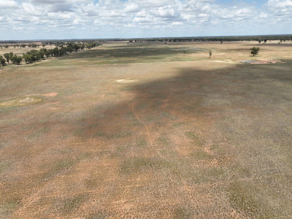 'Tergene South' 849 Tomingley West Road, Tomingley NSW 2869, Image 0