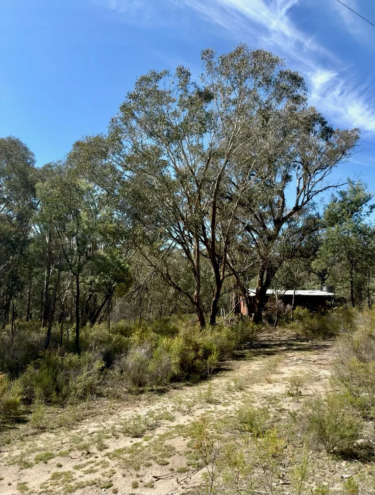 Additional image 2 of 4244 Hill End Road, Mudgee NSW 2850