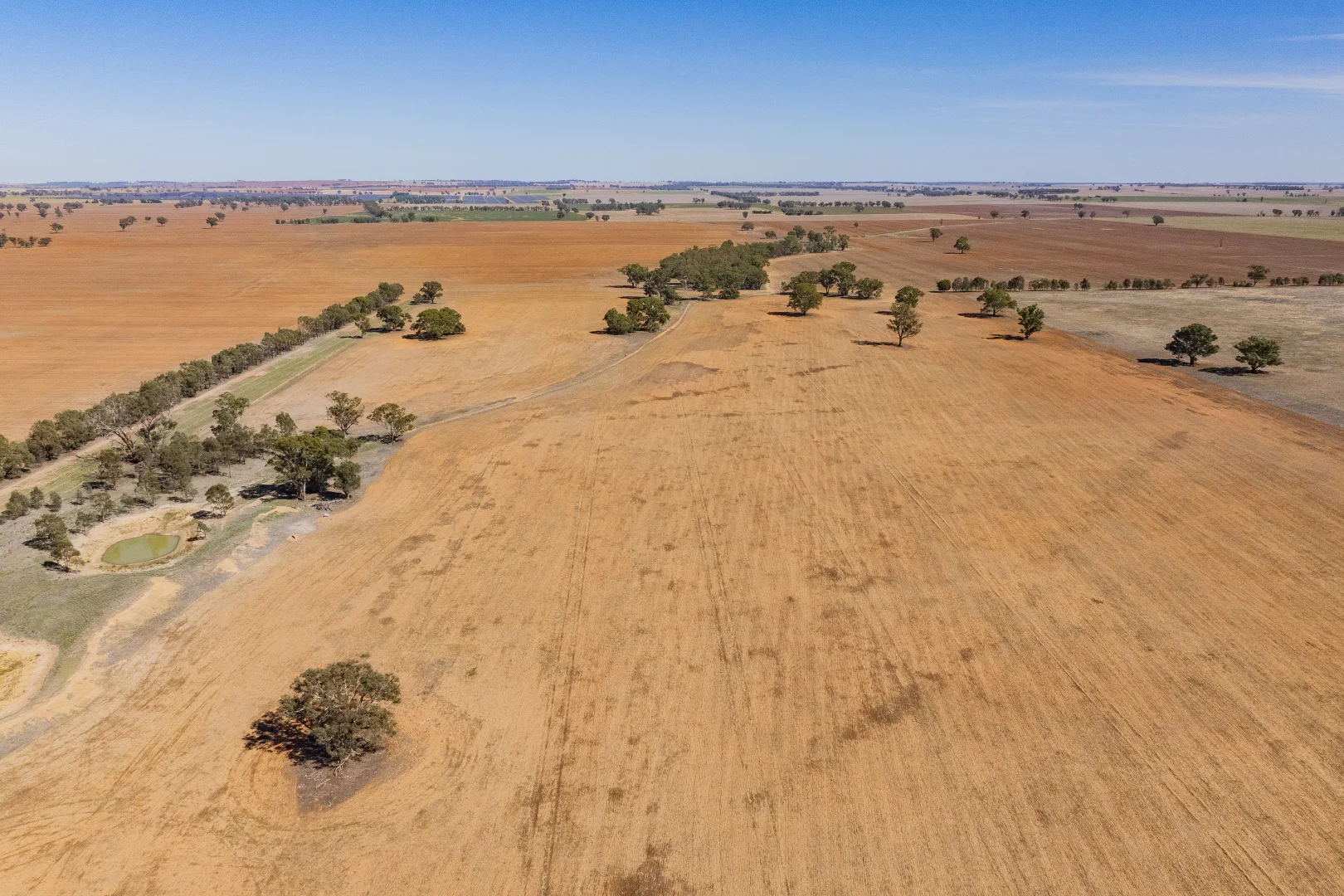 Additional image 8 of Combaning Road, Temora NSW 2666