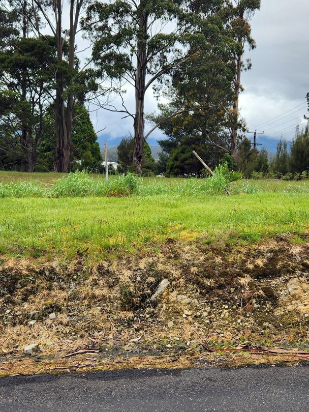 Acreage / Semi-Rural in Lot 1 Fowell Street, ZEEHAN TAS, 7469