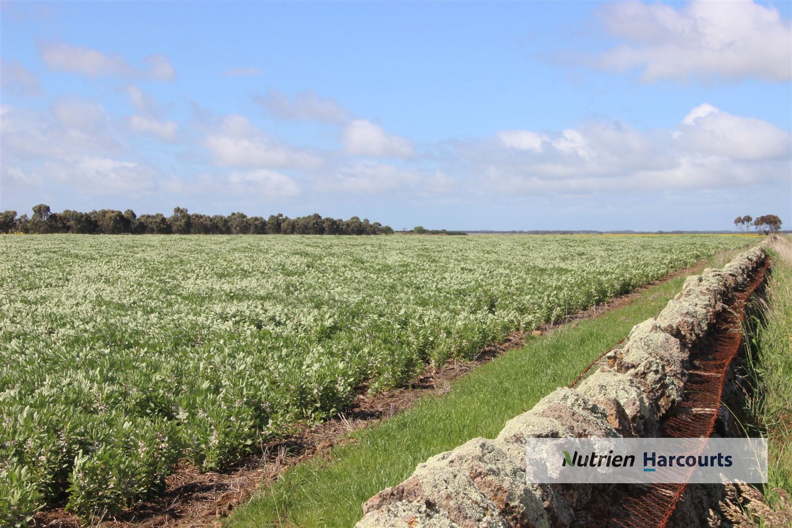 Malunga/783 Cressy-Shelford Road, Barunah Park VIC 3329, Image 1