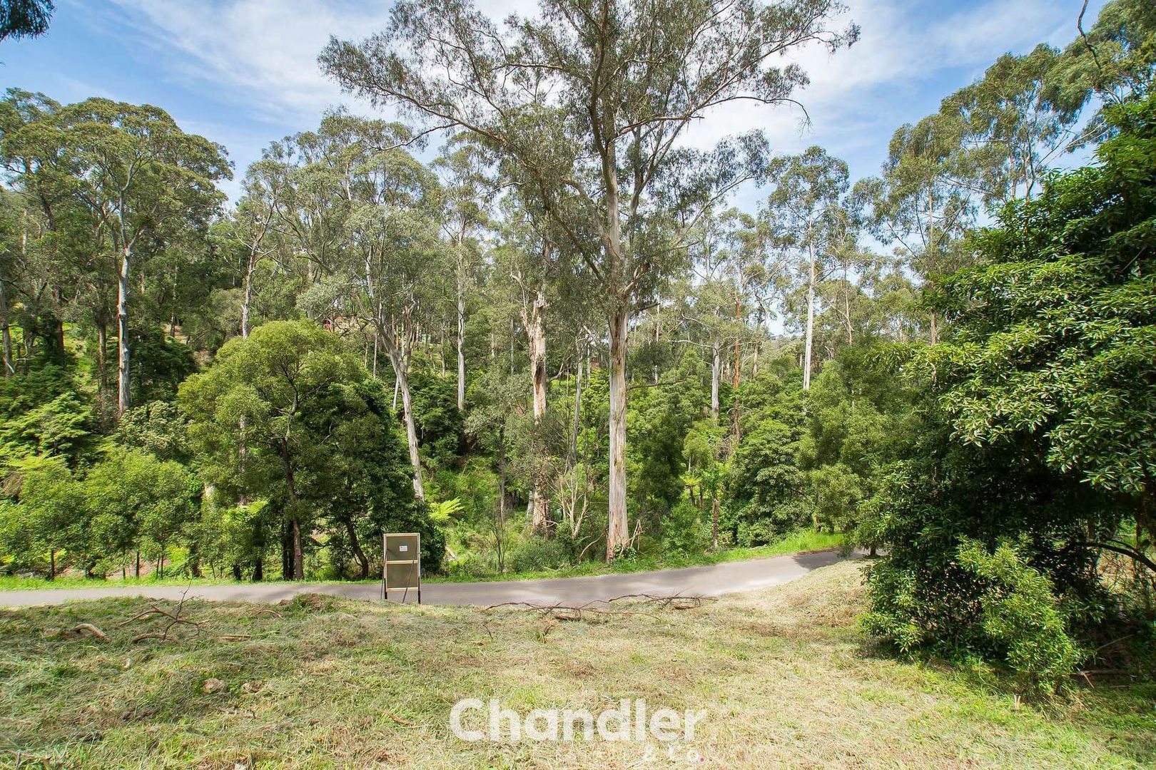 34 Hazelvale Road, Tecoma VIC 3160, Image 2