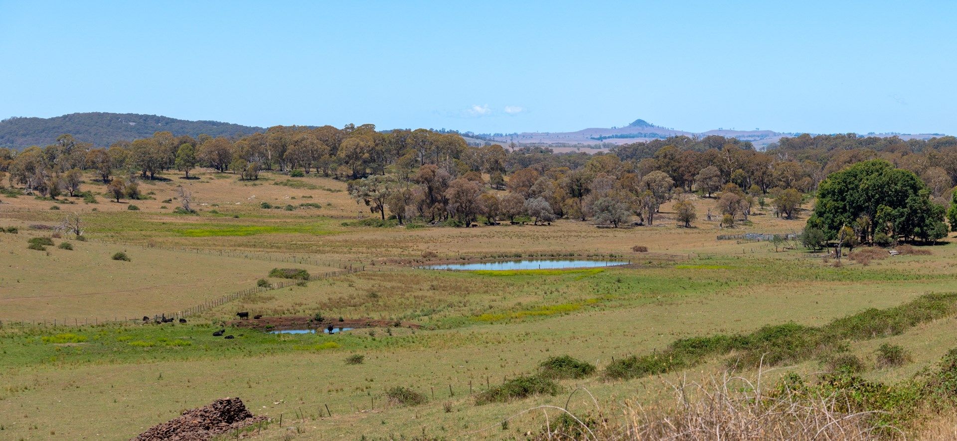 5736 New England Highway, Llangothlin NSW 2365, Image 0