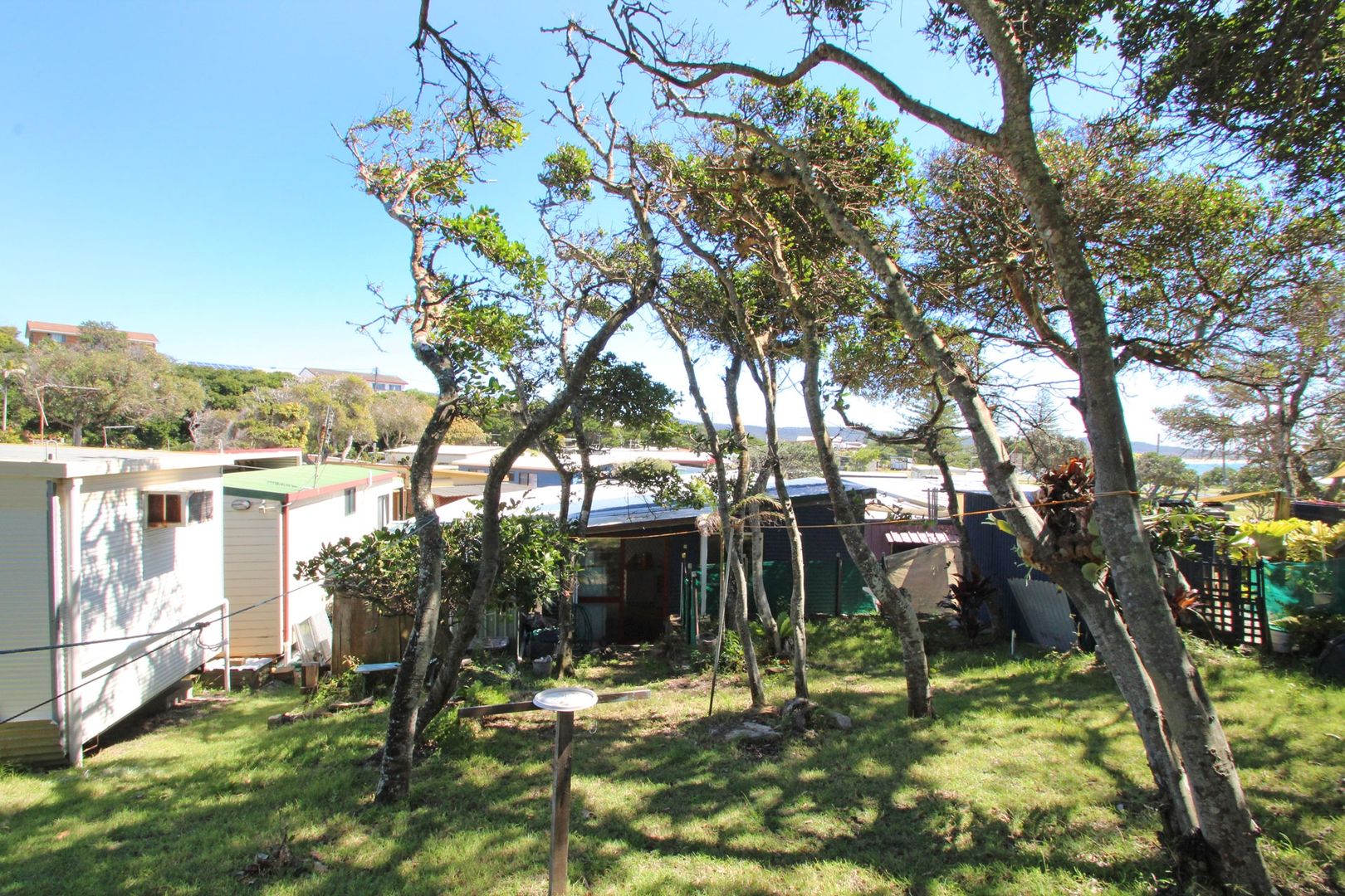 Site 94 Brooms Head Caravan Park, Off Ocean Road, Brooms Head NSW 2463, Image 1