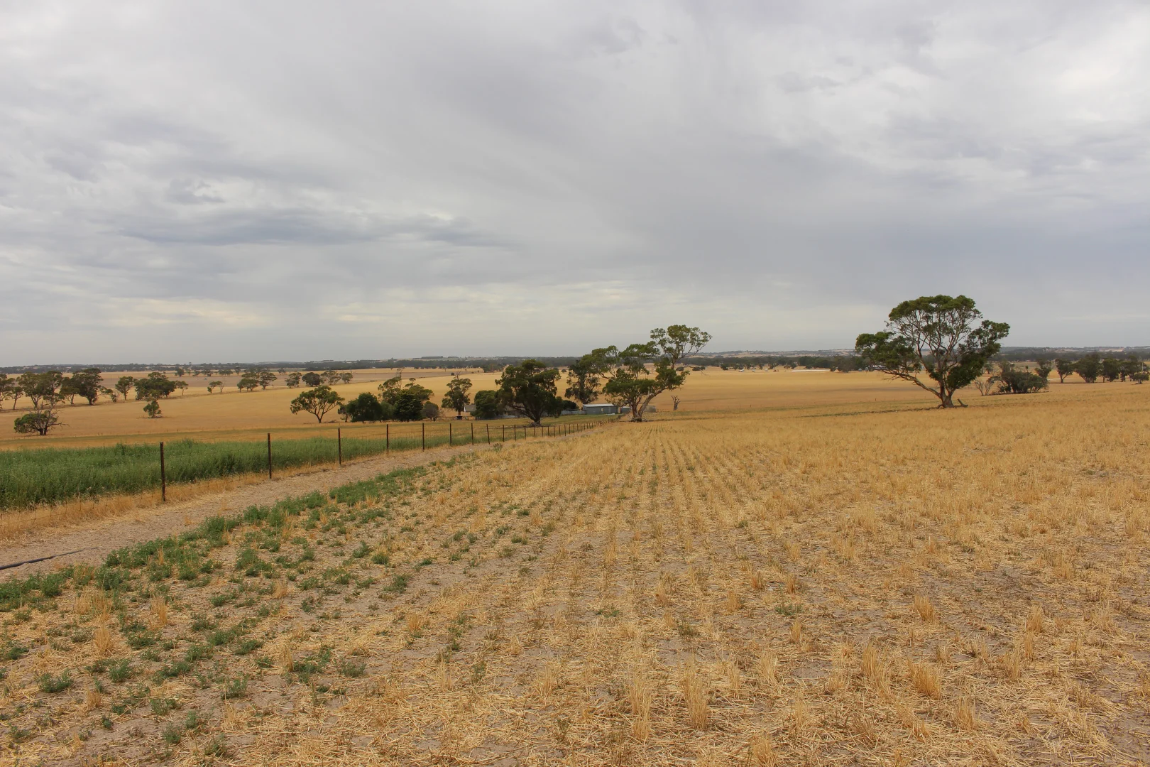 Image 22