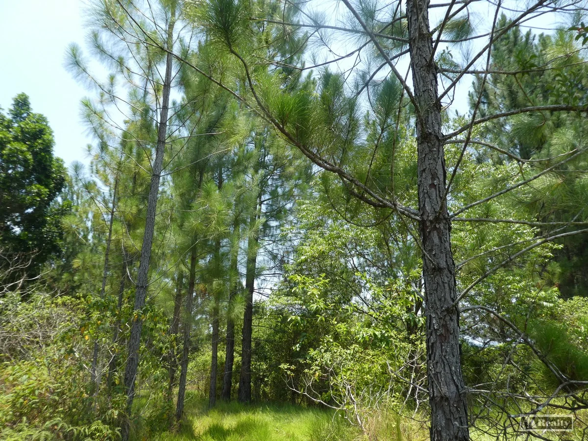 Additional image 7 of Eubenangee QLD 4860