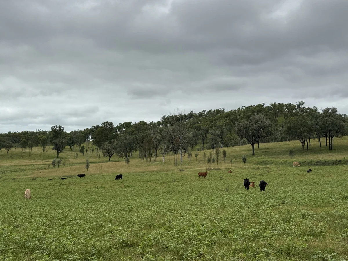 Additional image 19 of 1609 Monal Road, Monto QLD 4630