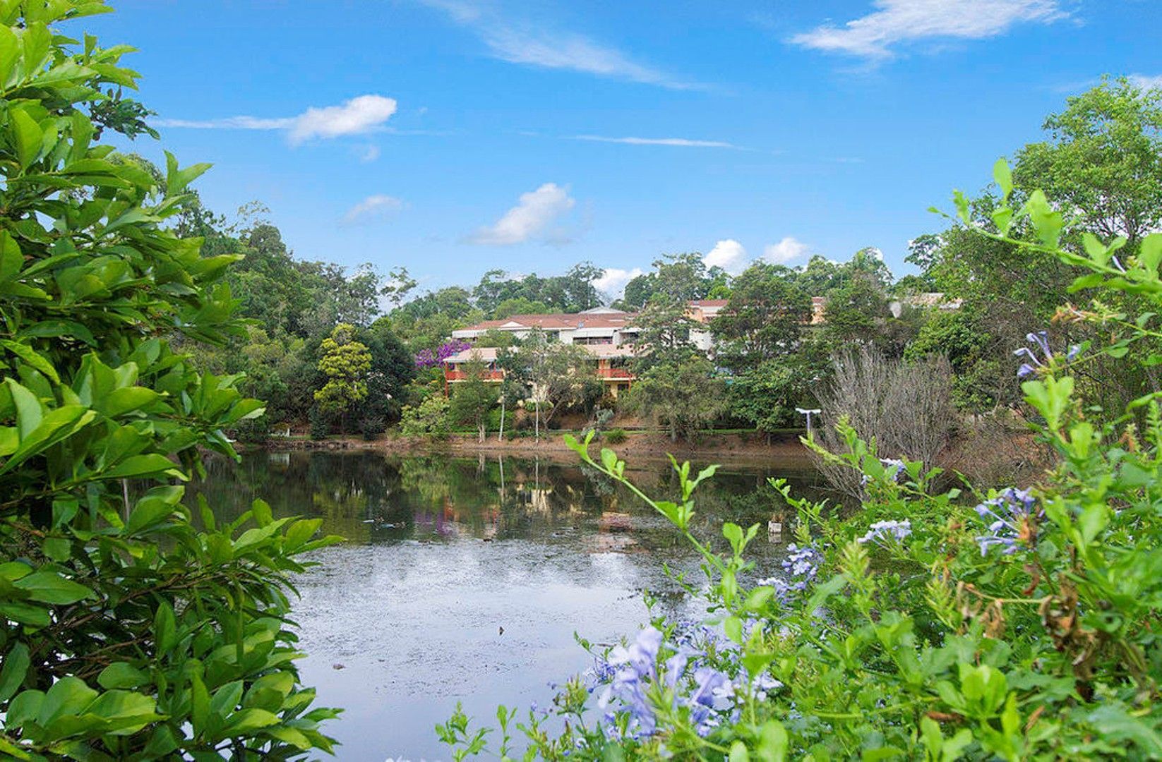 Mountain View Apartments 3 Ingram Place, Murwillumbah, NSW 2484 Domain