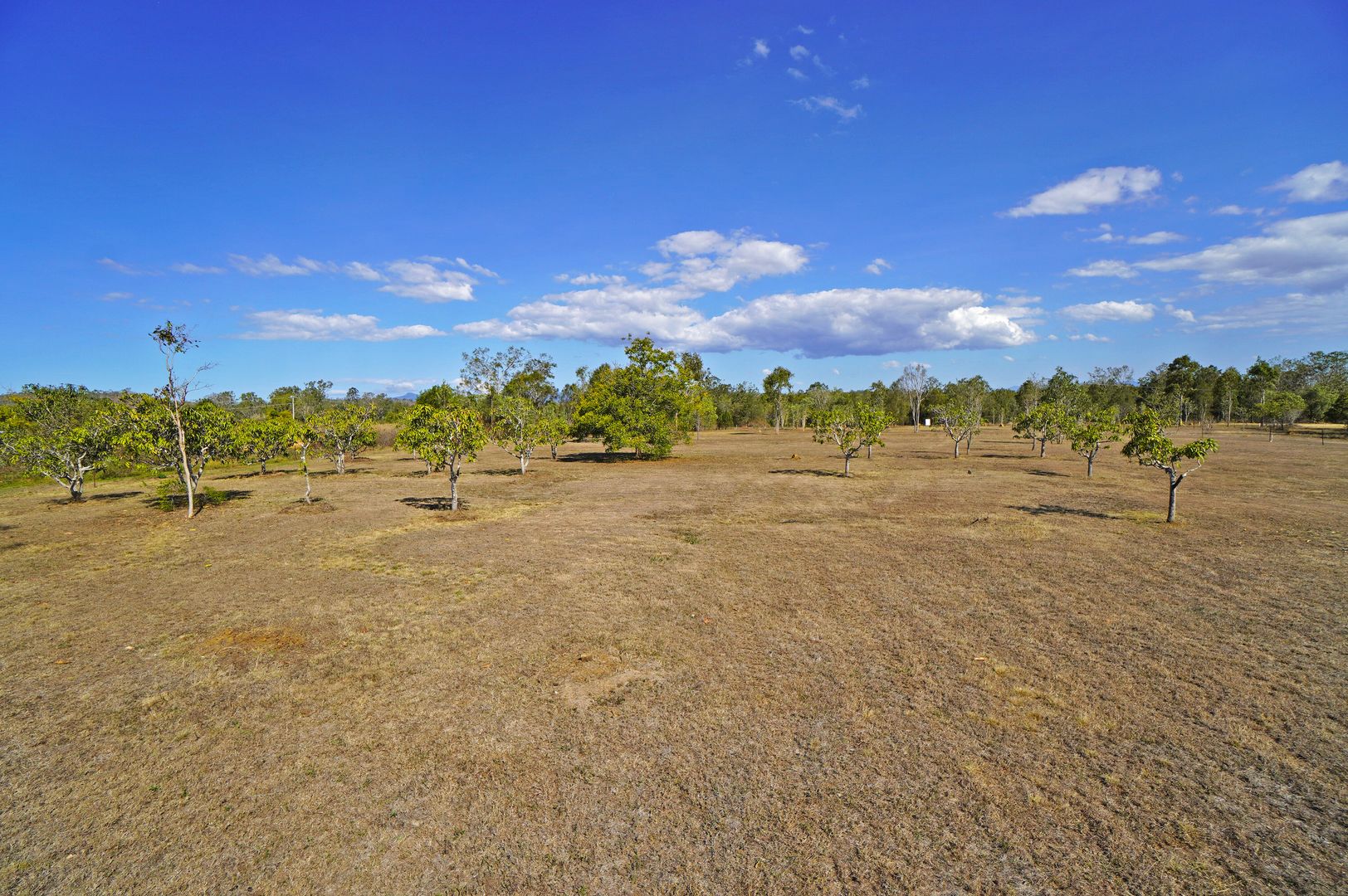 342 Pine Close, Biboohra QLD 4880, Image 2