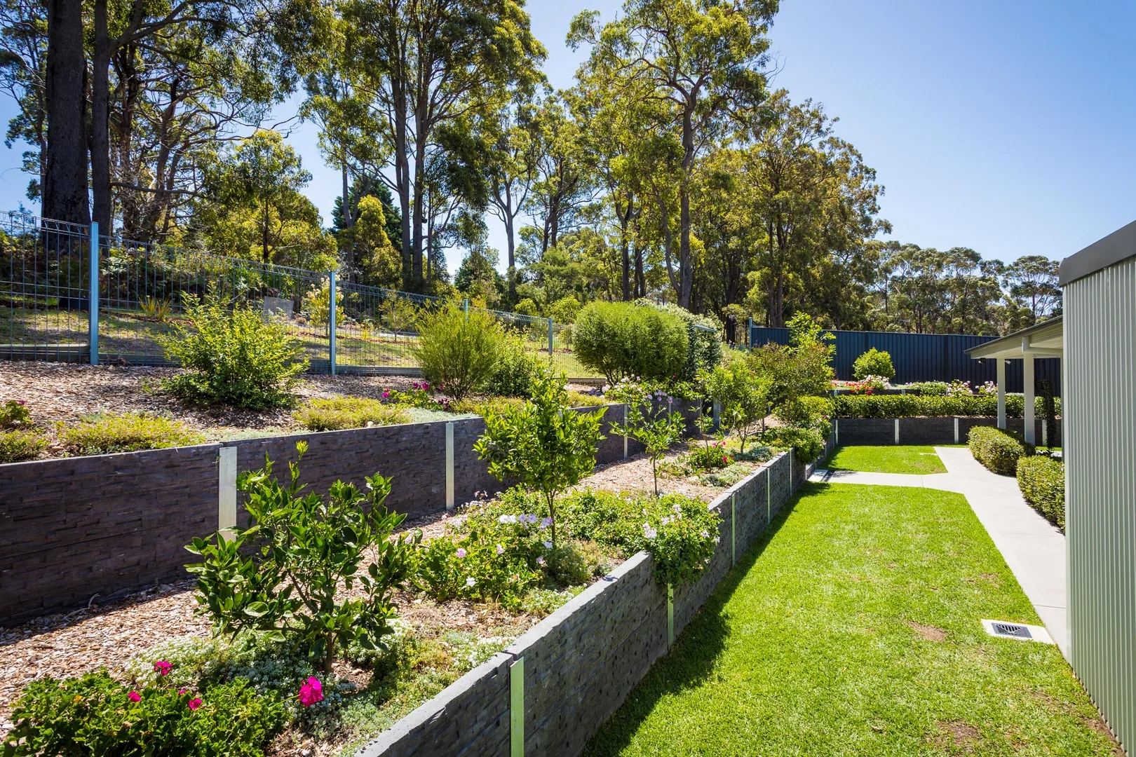 Image 4