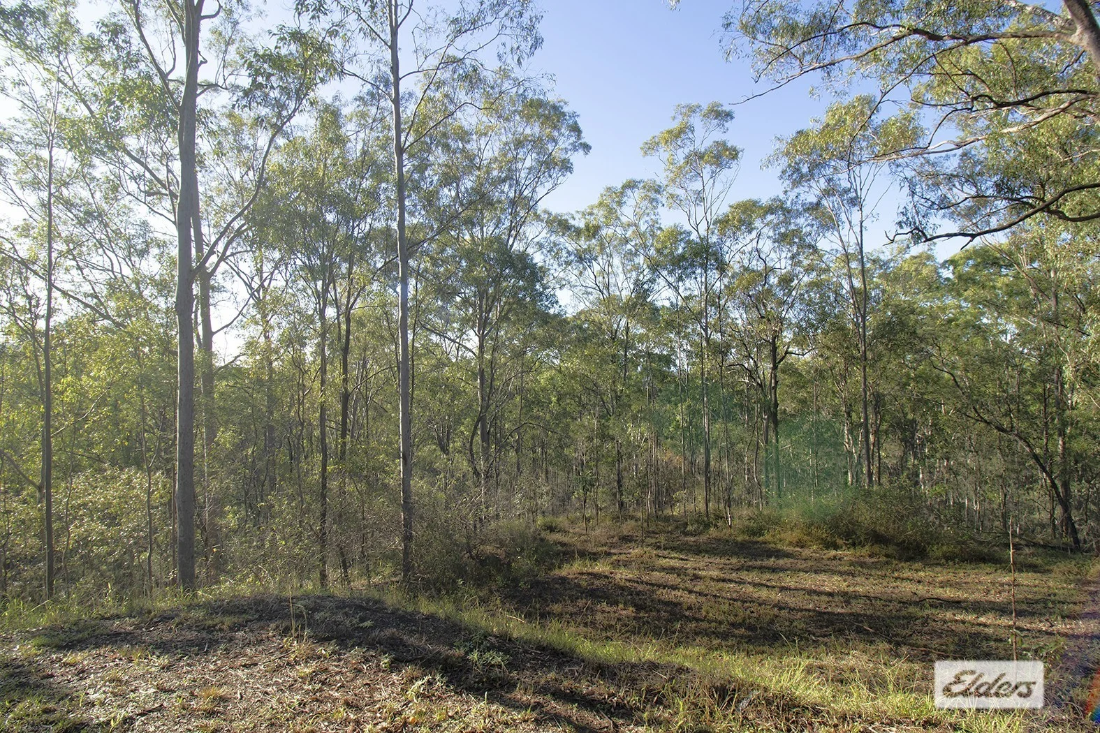 Image 15