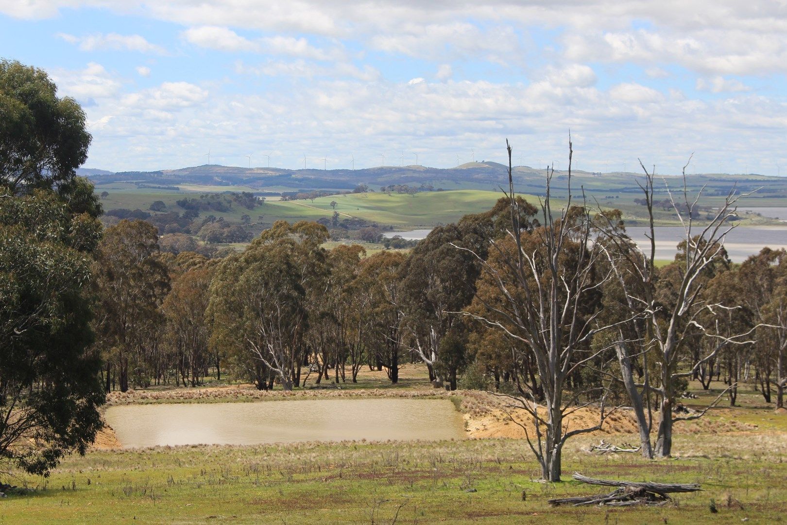 Lake George View Collector Road, Collector NSW 2581, Image 1