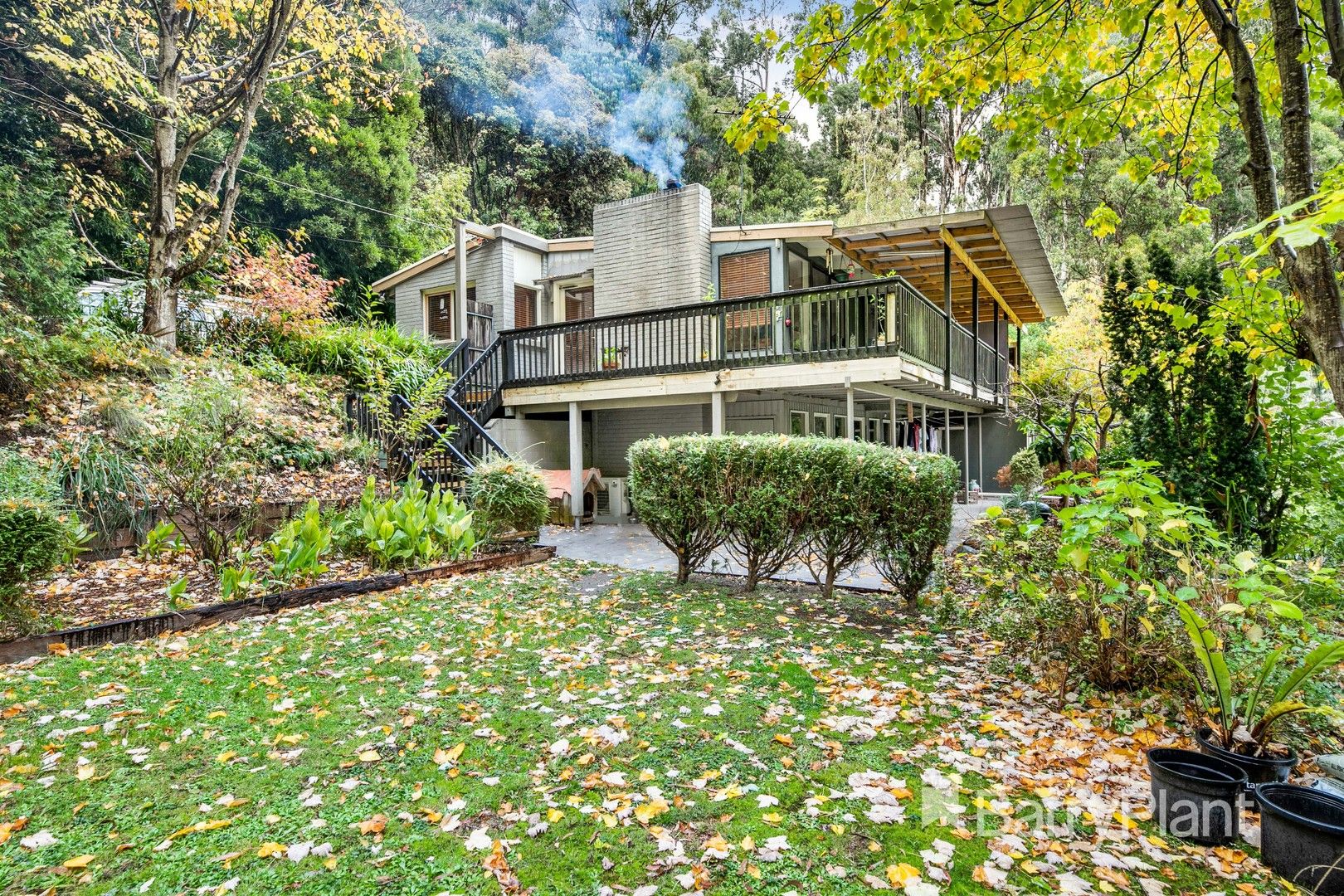 163 OlindaMonbulk Road, Olinda VIC 3788 House for Sale Domain