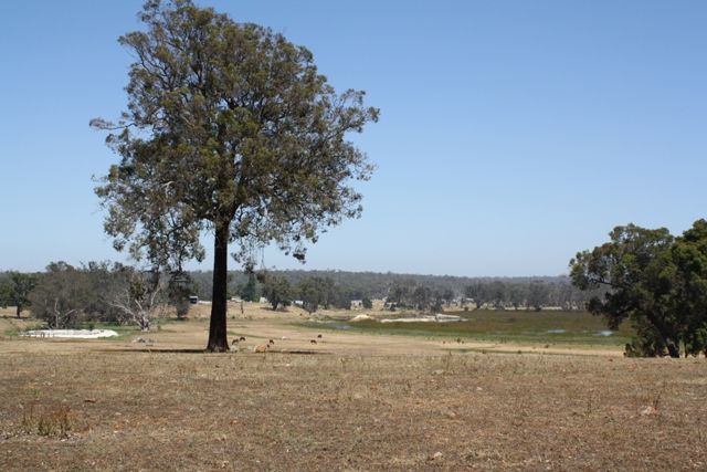 Lot 17 Junction Road, Manjimup WA 6258, Image 1