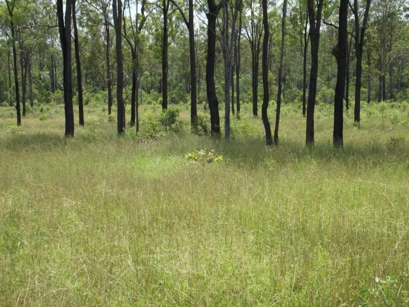 Lot 31 Corfield Drive, QLD, Booyal QLD 4671, Image 0