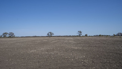 Picture of "Duffs Lea", ROWENA NSW 2387