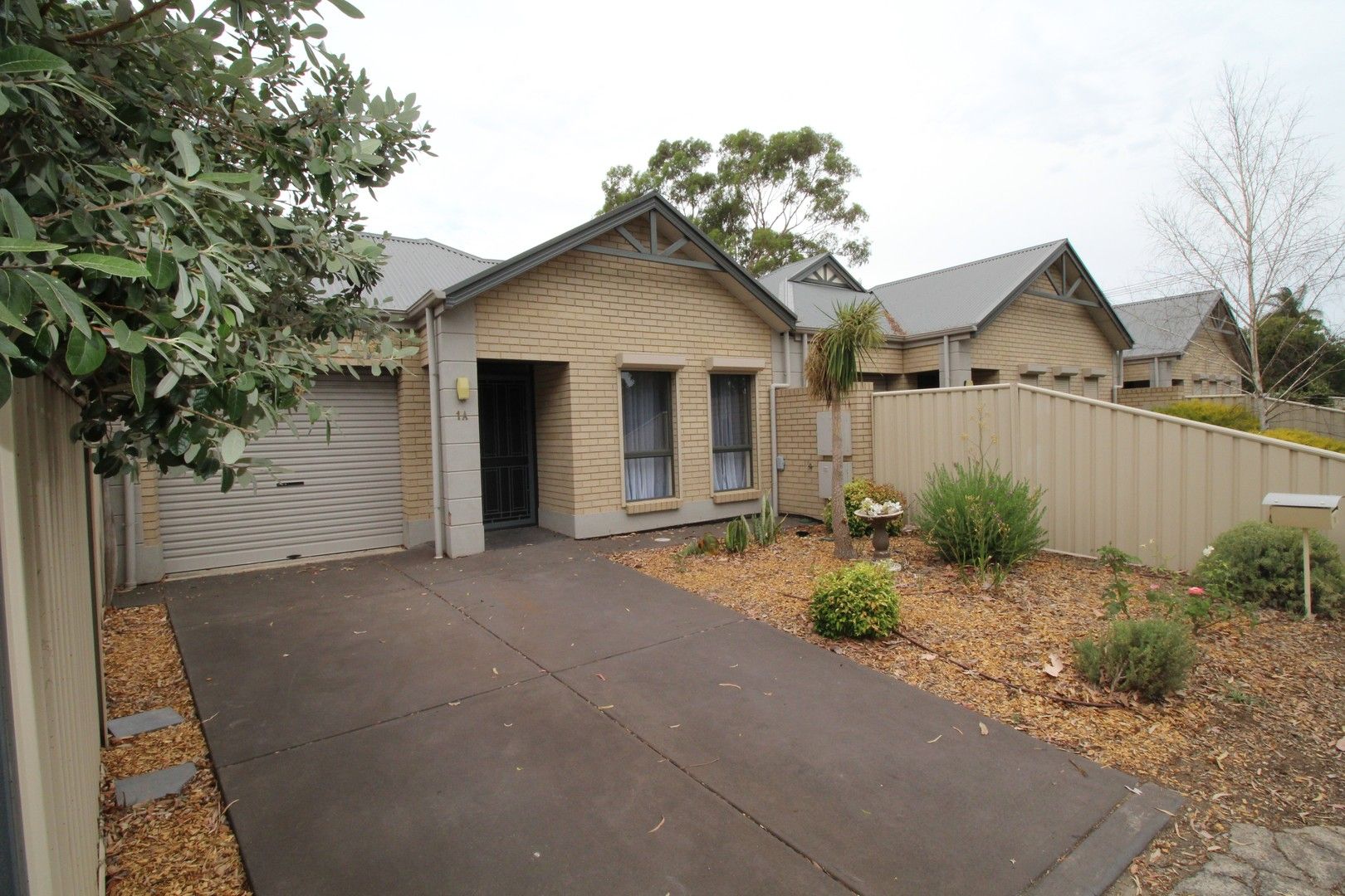 1a Thorne Crescent, Mitchell Park SA 5043 House For Rent Domain