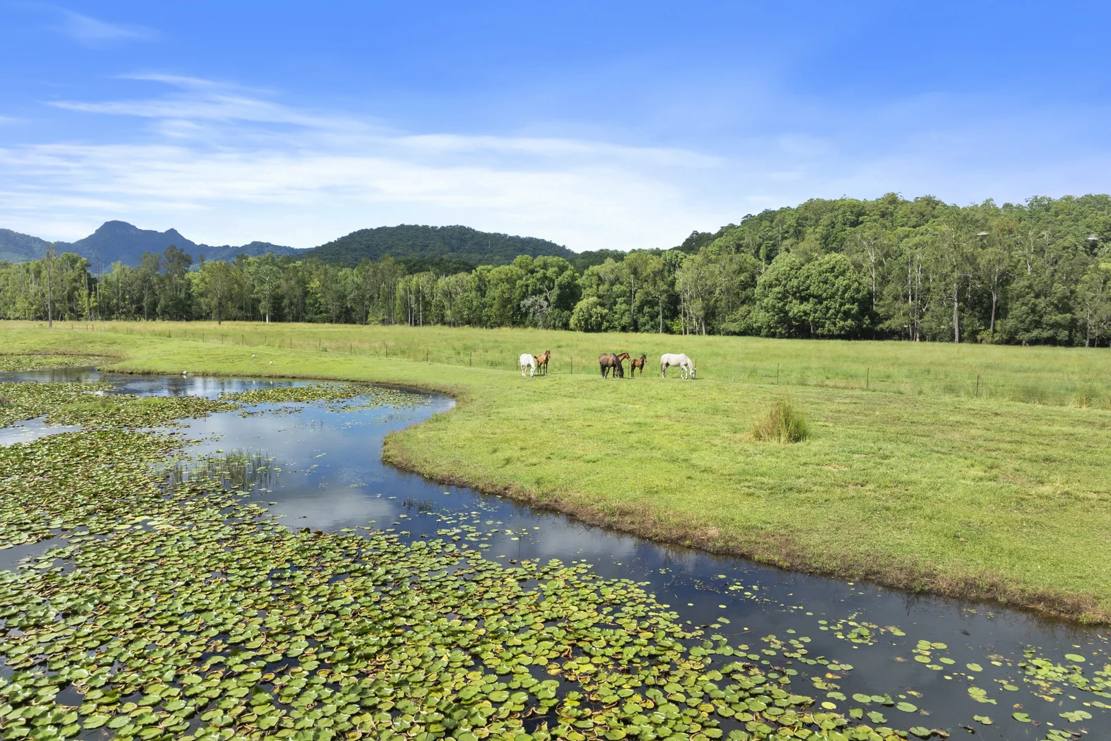 Additional image 30 of 160 Upper Crystal Creek Road, Upper Crystal Creek NSW 2484