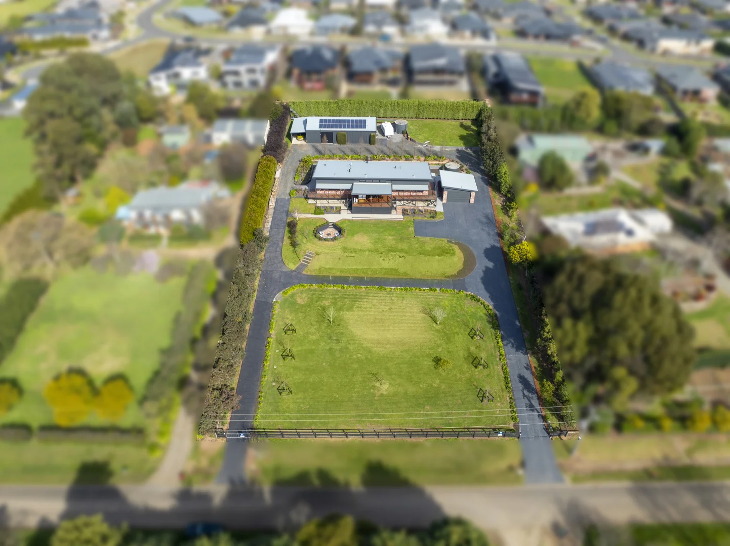 Image 15