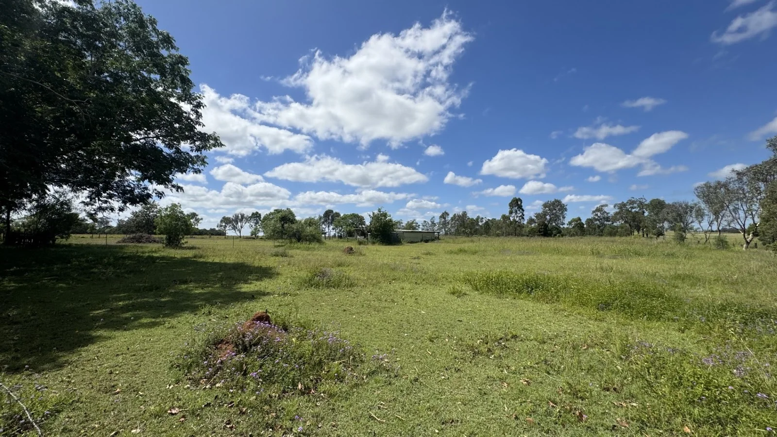 Image 19