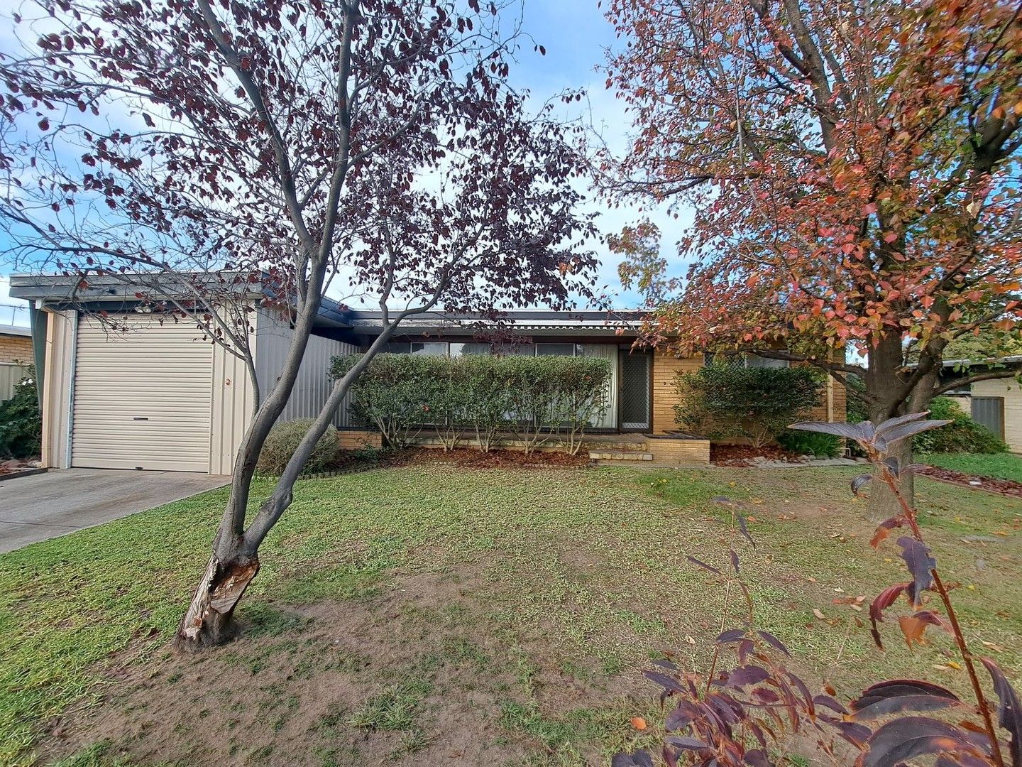 376 Dick Road, Lavington NSW 2641, Image 0