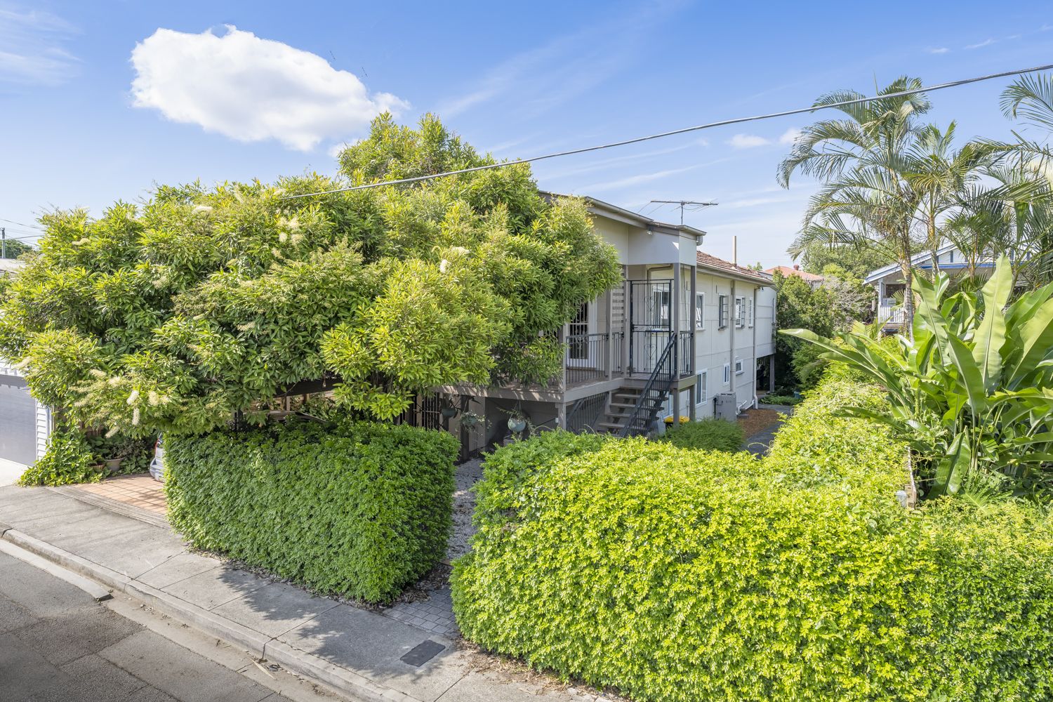 14 Burrell Street, Clayfield QLD 4011, Image 1