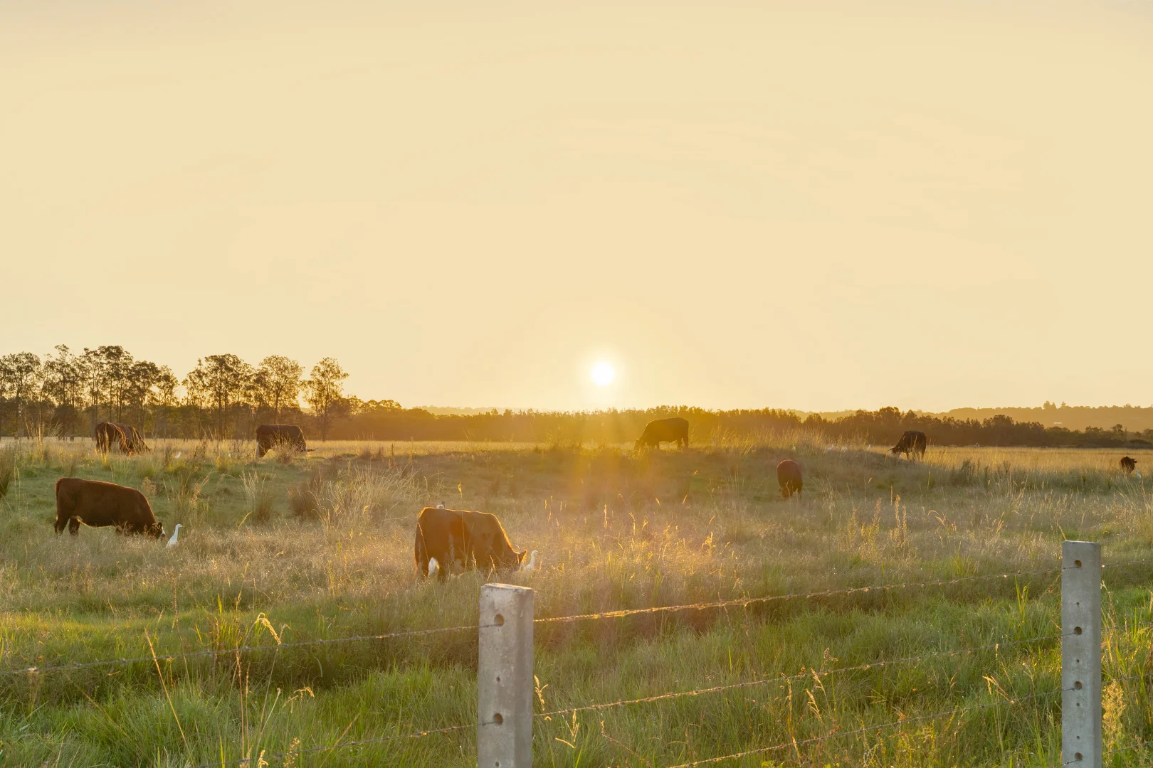 Additional image 22 of 32 Elkhorn Parade, Ballina NSW 2478
