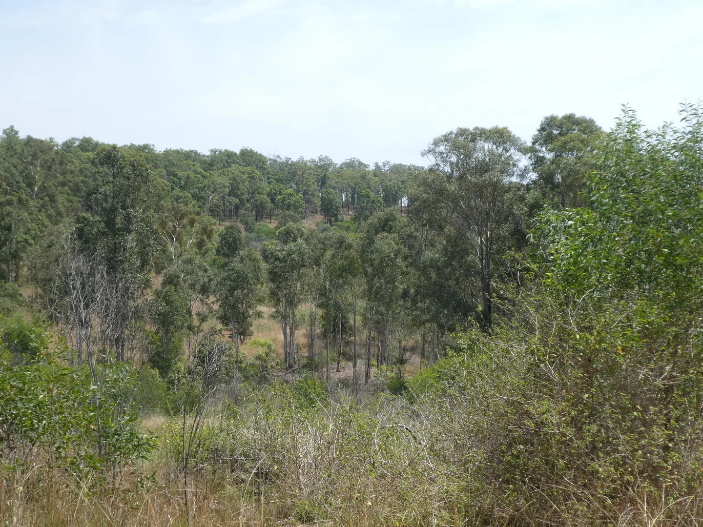 Image 31