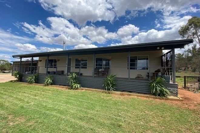Picture of 33 Galway Avenue, GUNNEDAH NSW 2380
