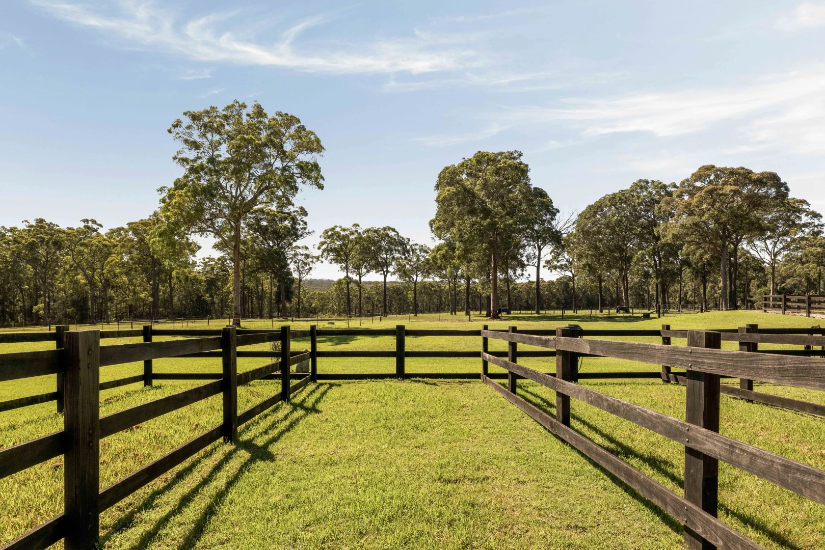 Additional image 29 of 242 Dairy Road, The Oaks NSW 2570