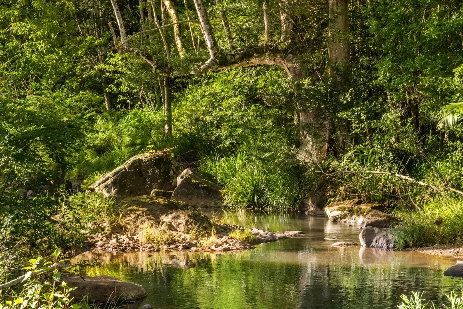 Additional image 27 of 1028 Wilsons Creek Road, Wilsons Creek NSW 2482