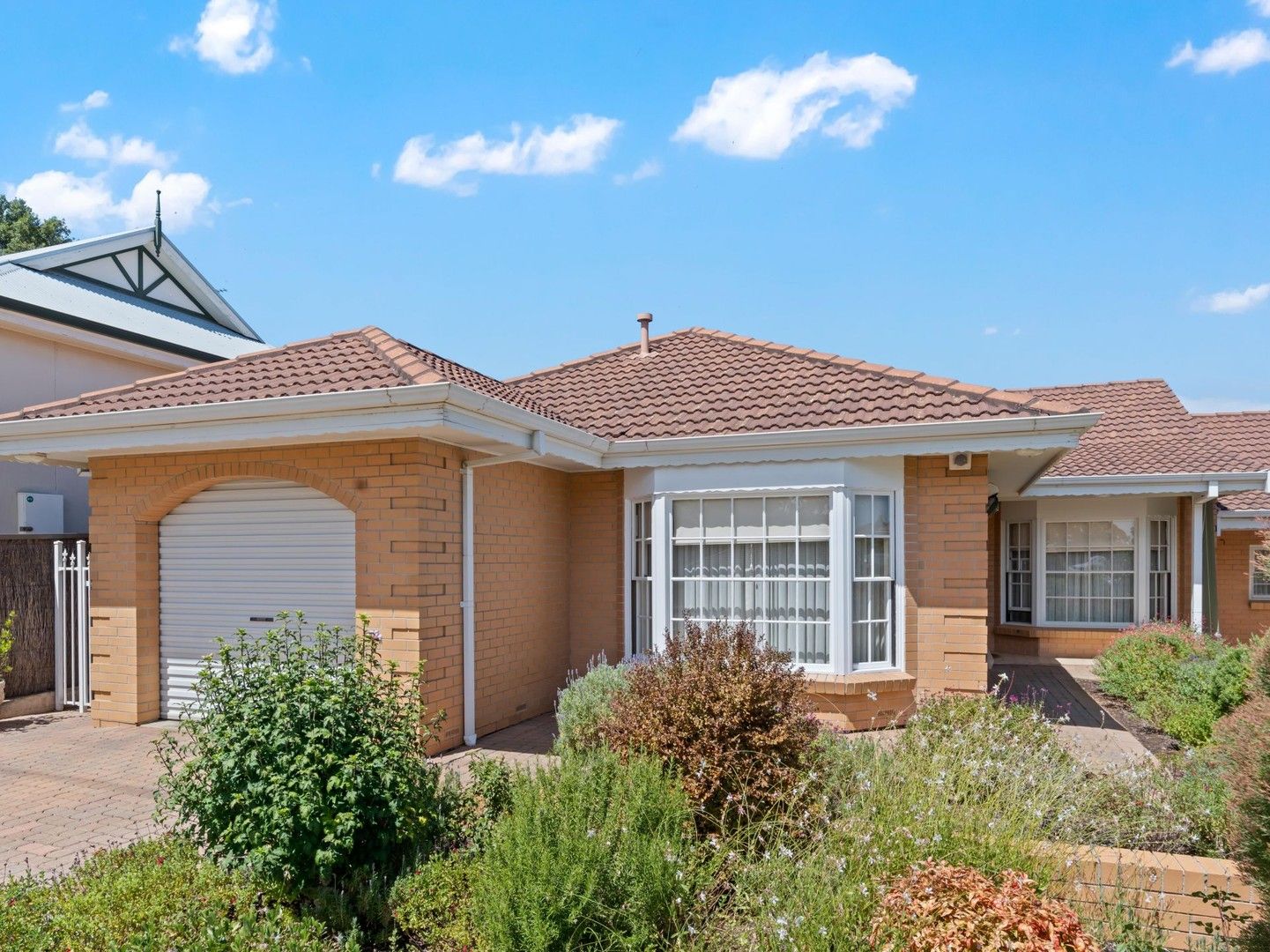 554 The Parade, Rosslyn Park SA 5072, Image 0