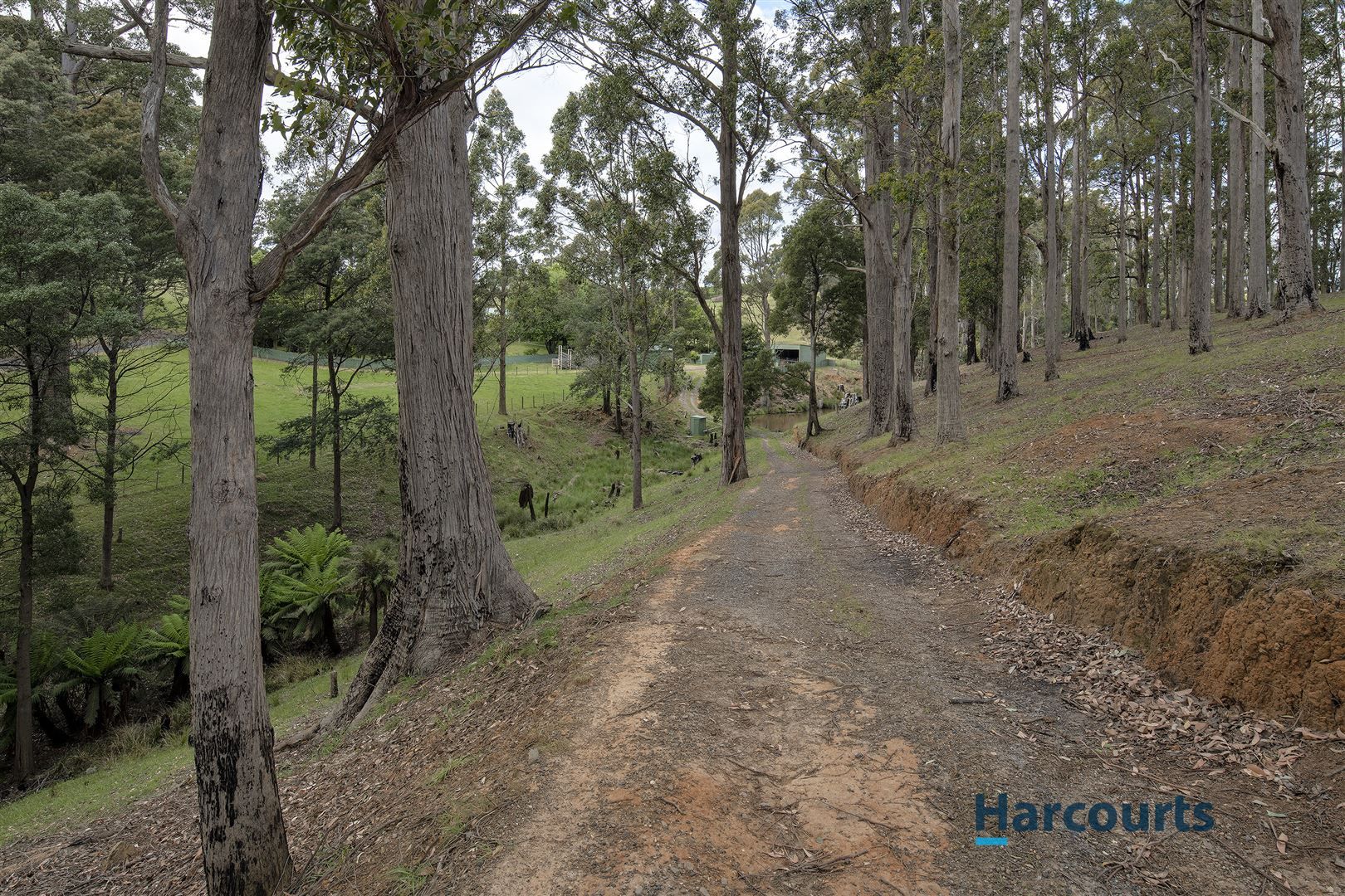 110 Clerke Plains Road, Spalford TAS 7315, Image 1